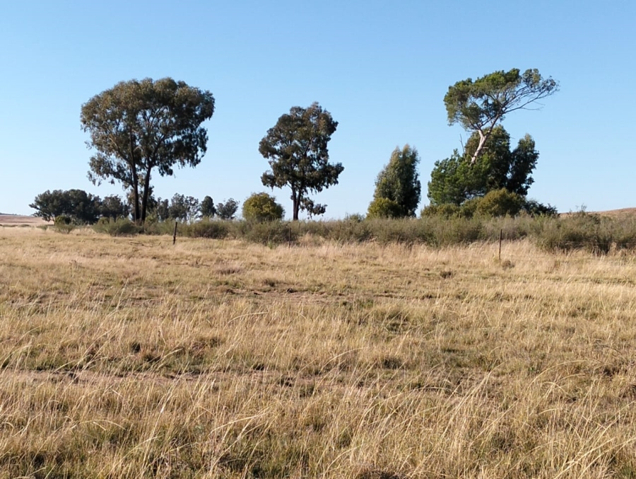 Commercial Property for Sale in Thaba Nchu Free State